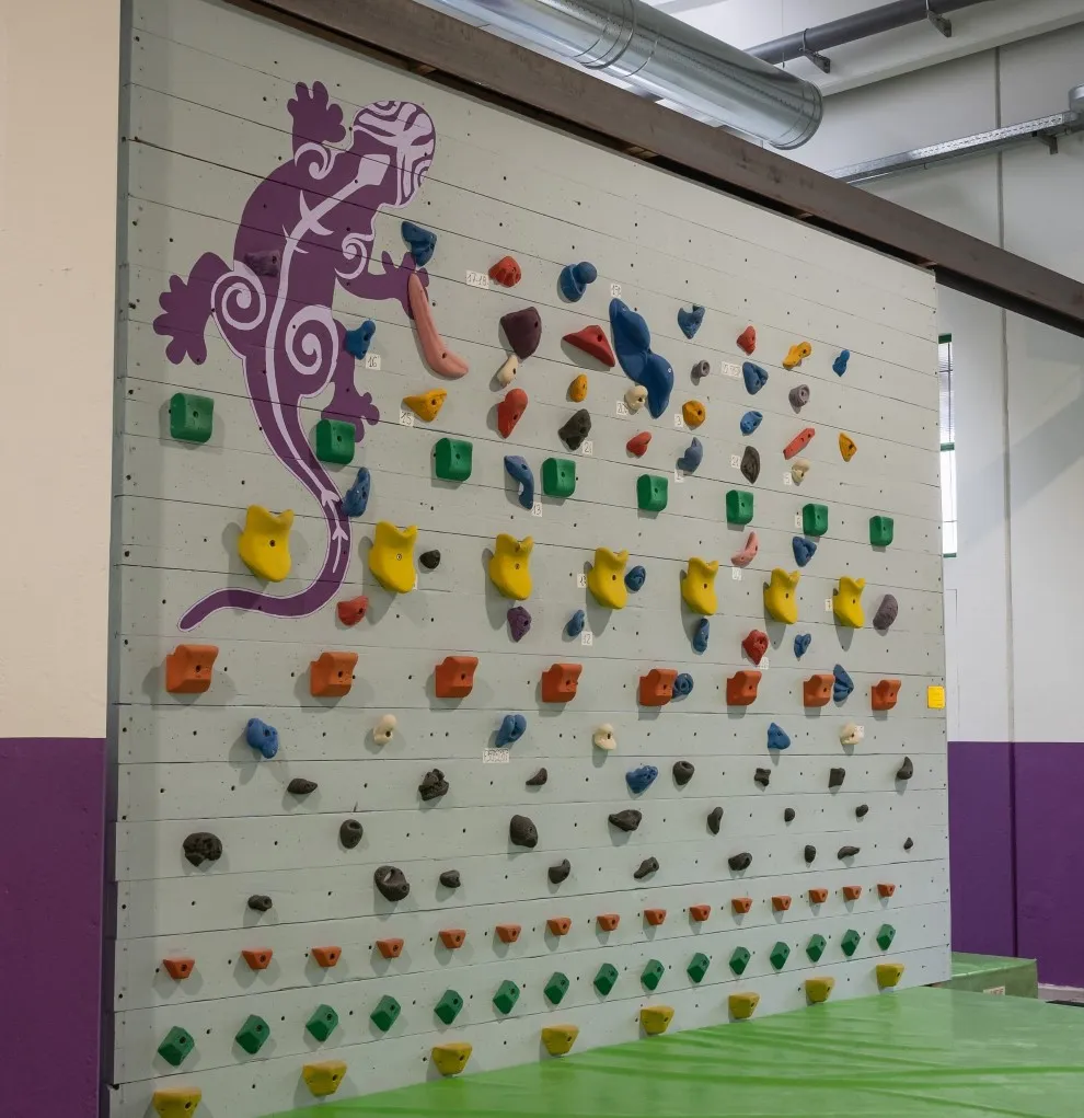 parete didattica skill wall della palestra di arrampicata lezard